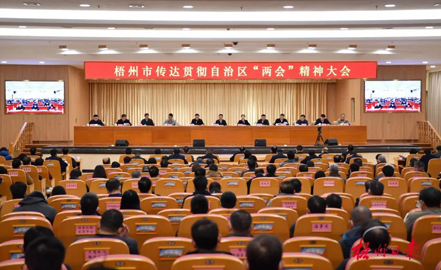 以“起步就要提速 首戰(zhàn)就是決戰(zhàn)”的奮斗姿態(tài)開(kāi)啟新篇章丨梧州市召開(kāi)傳達(dá)貫徹自治區(qū)兩會(huì)精神大會(huì)