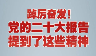 【黨的二十大】踔厲奮發(fā)！黨的二十大報(bào)告提到了這些精神