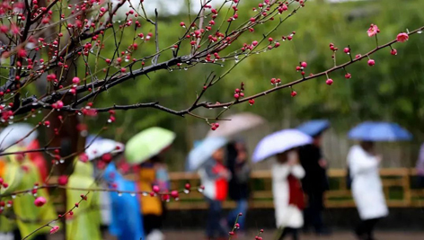 今日雨水！別忘了咱的老講究！