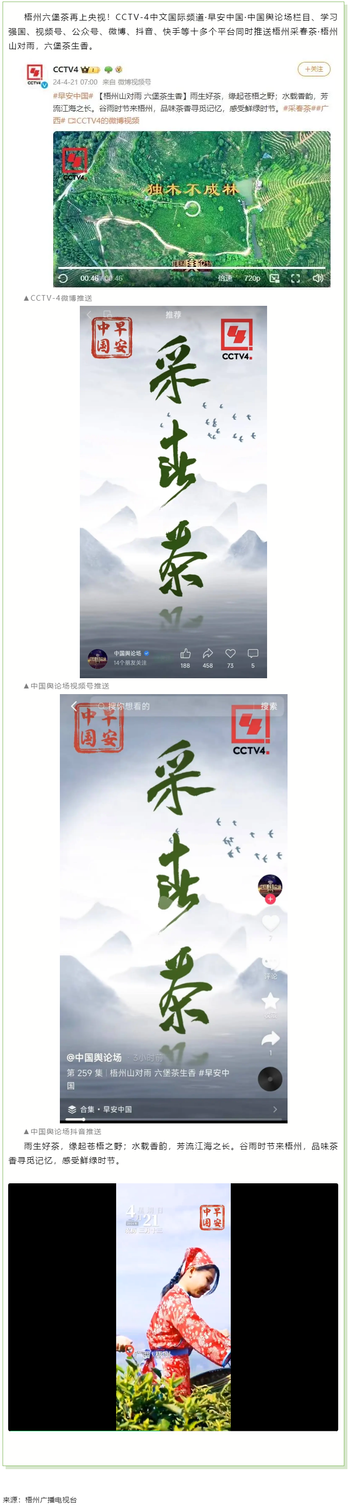 央視、學習強國等十多個平臺同時推送梧州采春茶&middot;梧州六堡茶.png