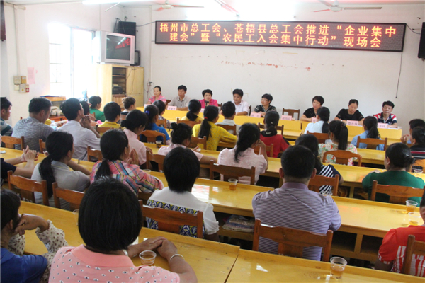 梧州市總工會、蒼梧縣總工會推進(jìn)&ldquo;企業(yè)集中建會&rdquo;暨&ldquo;農(nóng)民工入會集中行動現(xiàn)場會.jpg
